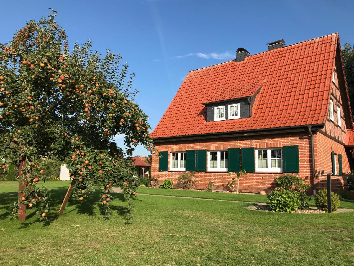 Ferienhaus-Eschede Ngoại thất bức ảnh